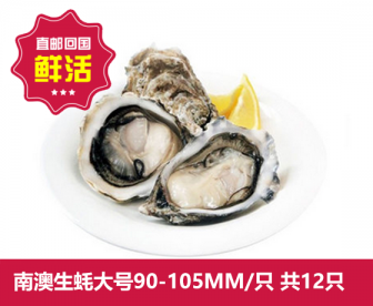 【直发回国】南澳生蚝大号90-105mm/只 共12只(送开蚝刀) 【直发回国】南澳生蚝大号90-105mm/只 共12只(送开蚝刀)